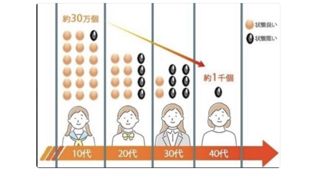 スクリーンショット 2024-09-25 7.16.02.png