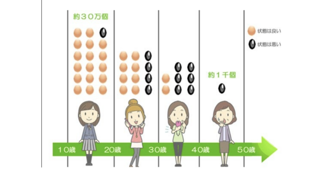 スクリーンショット 2025-01-10 8.55.54.png