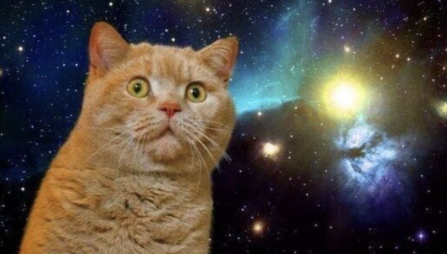 スクリーンショット 2025-06-19 17.40.09.png