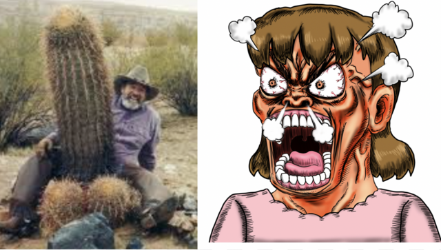 スクリーンショット 2025-09-22 11.20.37.png